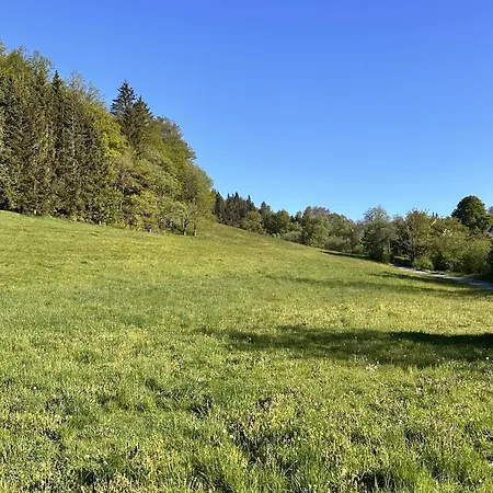Smart 1 Bb1 133 Hotel Winterberg